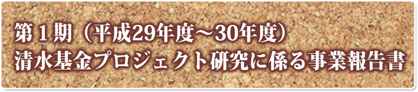第１期（平成29～30年度）清水基金プロジェクト研究に係る事業報告書
